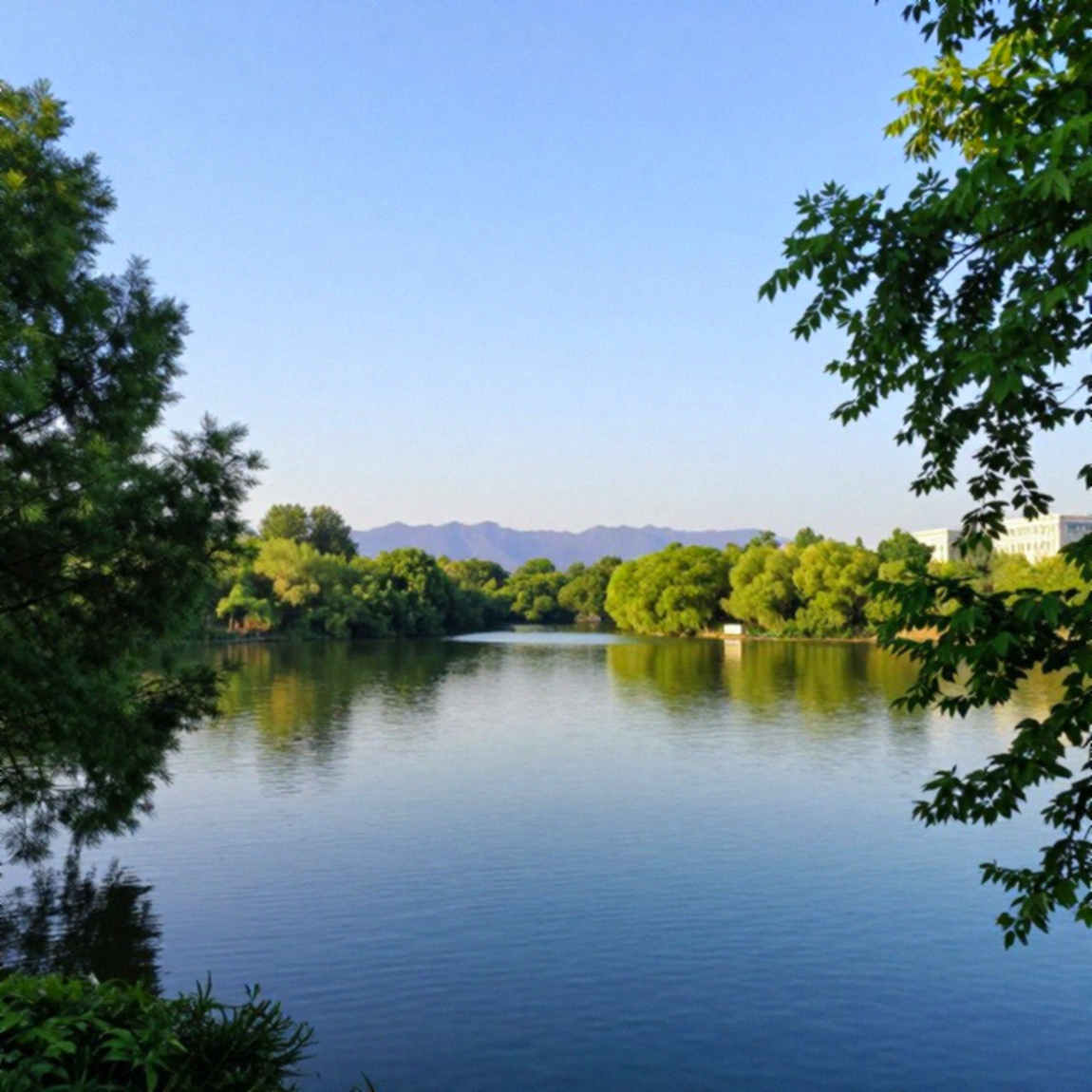 एशियाई कप 2027: 23 अक्टूबर का वोट तारीखें तय कर गया, पर लेजर में एक खाना अब भी खाली है एशियाई कप 2027: 23 अक्टूबर का वोट तारीखें तय कर गया, पर लेजर में एक खाना अब भी खाली है